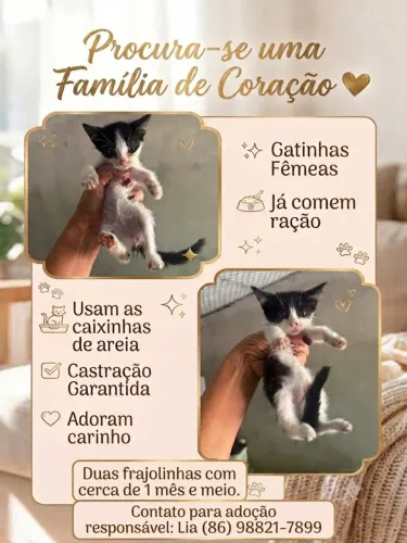 Adoção Responsável 