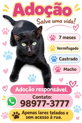 Adoção 