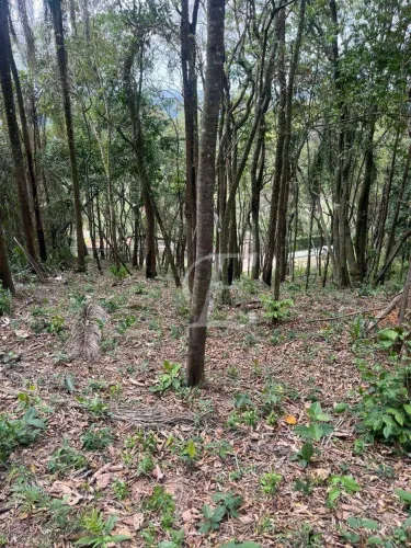 Terreno à venda, 2030 m² por R$ 250.000,00 - Caraguatá - Mairiporã/SP