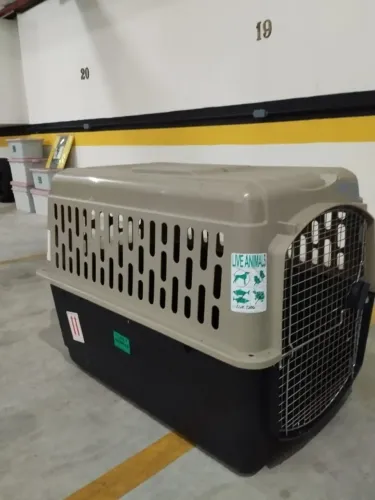 caixa de transporte para pet
