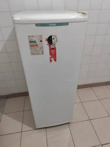 Freezer vertical
