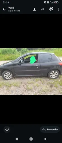 Peugeot 206 Presence 1.4/ 1.4 Flex 8V 3P 2005
