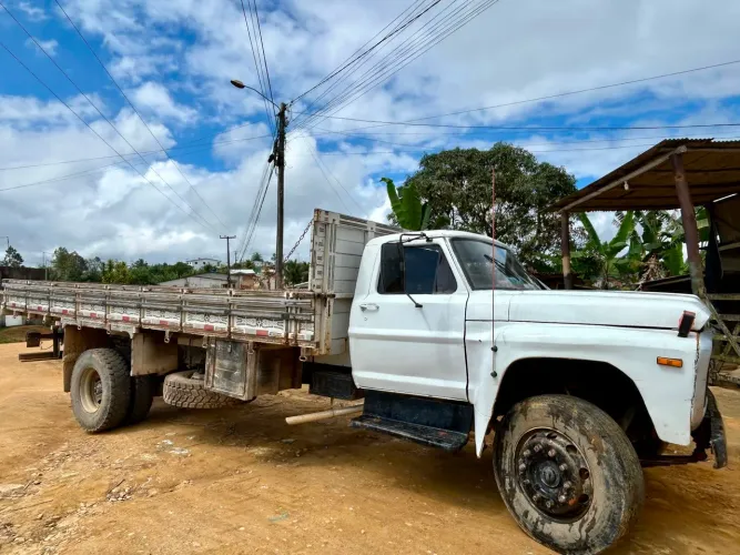 Ford F-14000 - pronta pra trabalhar com gaiolão