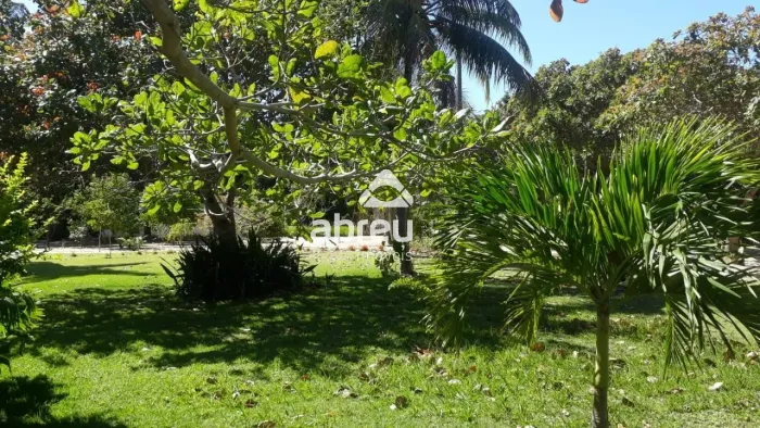 Imóveis Residenciais Chácara em São José de Mipibu