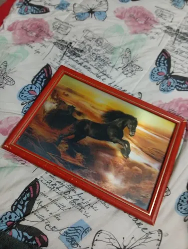 Quadro "cavalo Francês" pra sala de estar