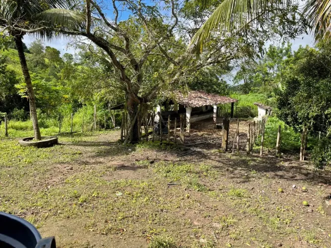 Granja Serraria com 9.5 hectares