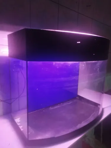 Aquário frente boleada fundo azul faixa preta 60 litros