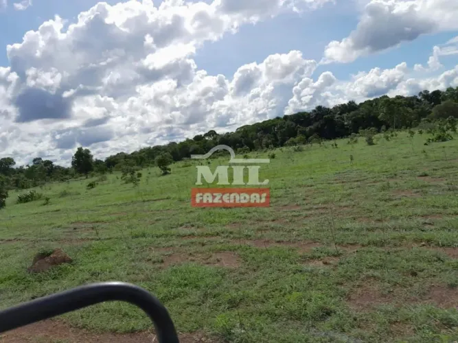 Fazenda 160 Alqueires (774,4 hectares) Araguaçu - TO