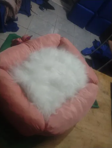 Caminha pra cama de gato, ótimo para seu pet