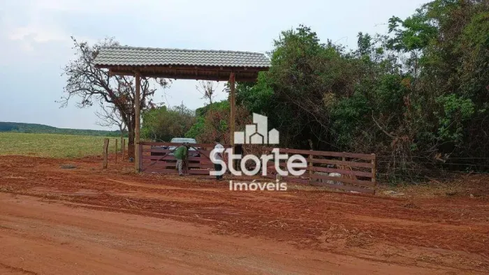 Chácara à venda, 2 hectares (20.000m²) por R$ 350.000 - Uberlândia Sentido Araguari/Indian