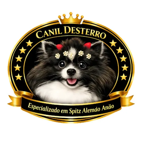 Banho E Cuidados Para Cães De Porte Micro Ao Porte Pequeno