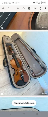 Violino Parrot 4/4