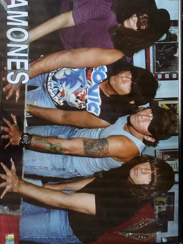 Quadro pôster da banda Ramones anos 90