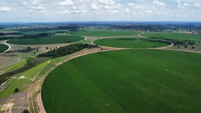 Fazenda Jussara Goiás