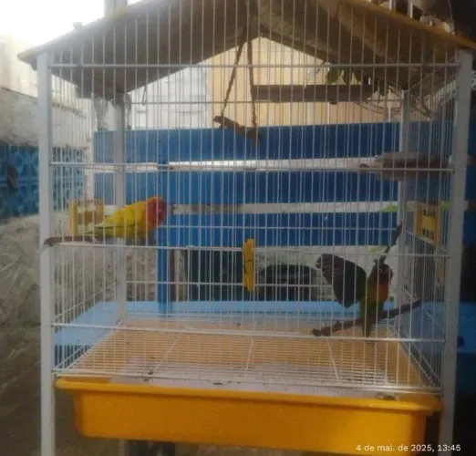 Vendo Gaiola Semi Nova 
