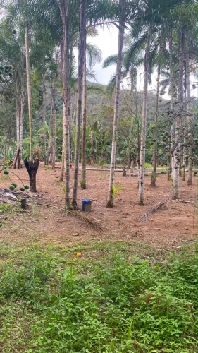 Terreno com acesso ao rio jucu 