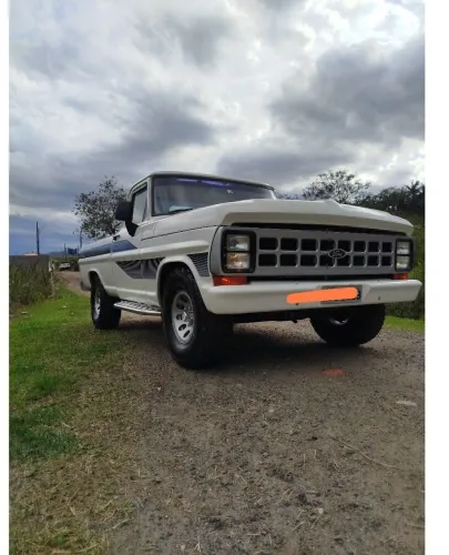 Ford F-1000 S. S. Diesel / S.s. Diesel Turbo 1989