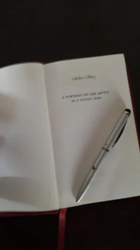 Livro de James Joyce - A Portrait of the Artist as a Young Man - Original - Ed. de Bolso 2