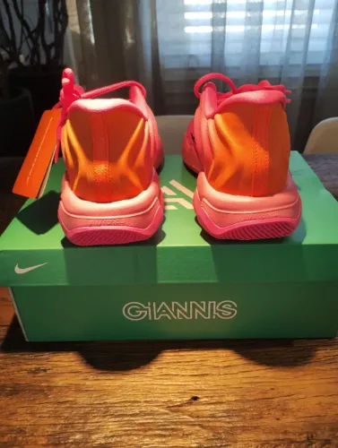 Tênis Nike Gianis 4 NOVO