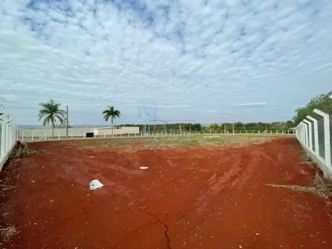 Terreno de 4.200m² - Parque das Oliveiras