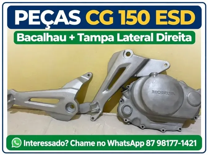 Bacalhau 150/ Tampa lateral direita do motor 150 ES/SD.