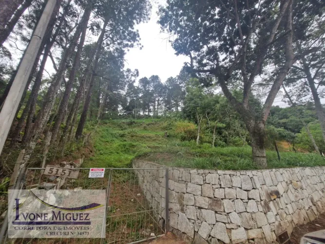 Terreno em Barão de Javary - Miguel Pereira