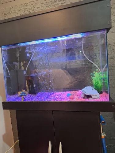 Aquario completo com móvel 
