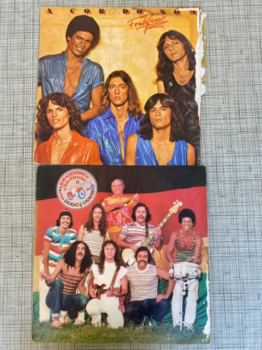 Lote 2 LPs Clássicos da MPB e Carnaval Baiano (A Cor do Som + Trio Elétrico Dodô & Osmar)