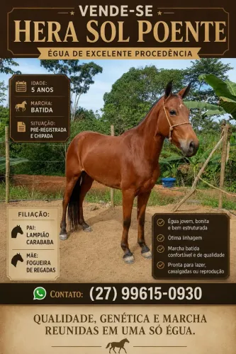 Vendo Égua no registro provisório