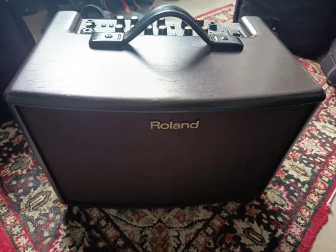 Amplificador Roland AC-60 