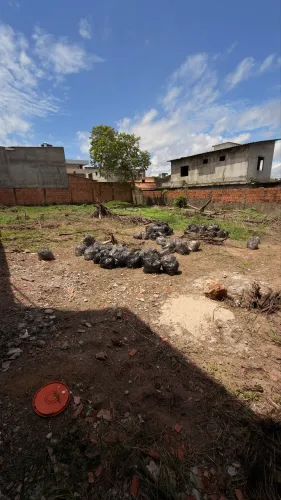 Locação Terreno 300m² no Parque 10 Shangrila próx. Live