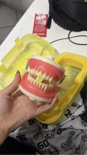 Manequim Odontológico nunca usado