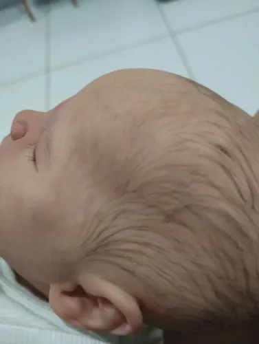 Bebê reborn  vendo  ou troco lulu da pamerania  femea