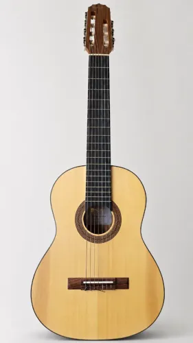 Violão de 7 cordas - Rozini RX517 