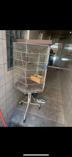 VIVEIRO PARA MACACOS , PÁSSAROS ETC ?