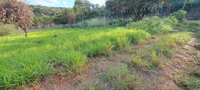 Excelente lote 1.000m2 plano com rego d'agua
