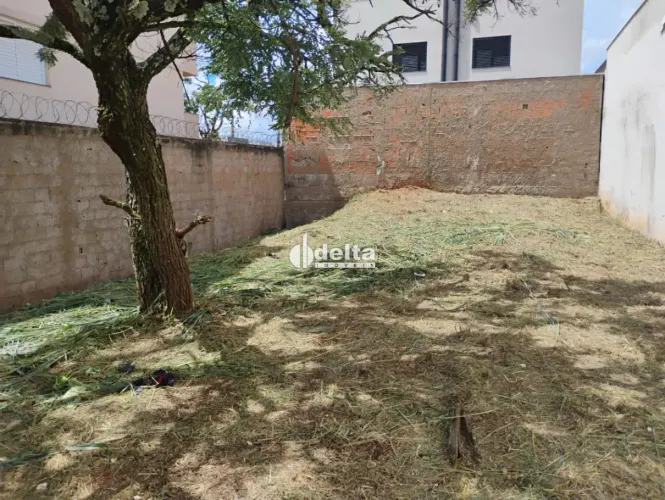 Terreno disponível para venda no bairro Bosque dos Buritis em Uberlândia-MG