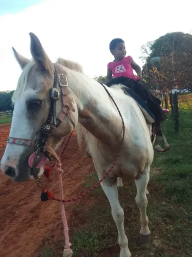 Egua mansa de criança andar troco por outra