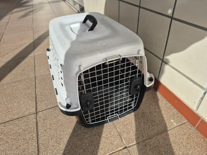 Caixa para transporte de animais