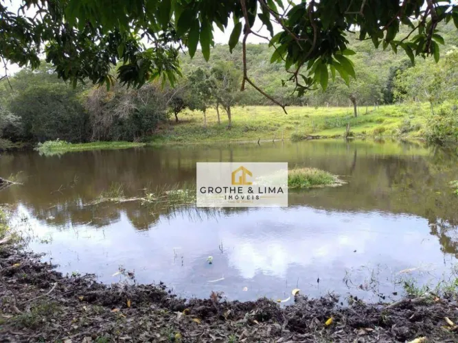 Fazenda 110 Alqueires na Divisa SP/MG com 600m de Beira do Rio Canoas e Excelente Logístic
