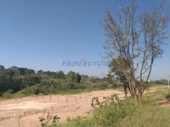 terreno - Macuco - Valinhos