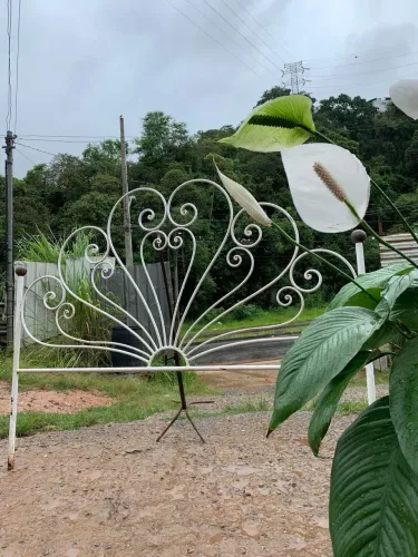 Cabeceira casal antiga de ferro  com detalhes belíssimos 
