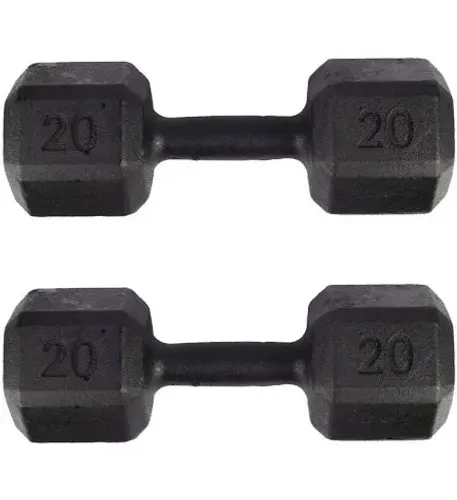 Par Halter Sextavado 20kg Dumbbell Pintado ferro
