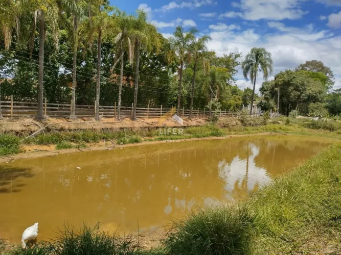 LINDO SITIO A VENDA EM CAPIVARI /SP.