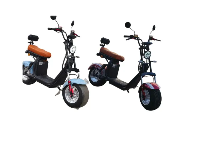 Scooter bicicleta elétrica WX-11 WEHANK 1000W 