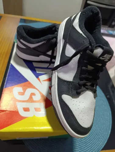 Tênis Nike Sb 