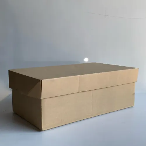 Caixa de papelão grande - ideal para comércio