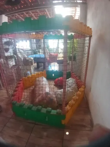 Playground Infantil - Brinquedoteca