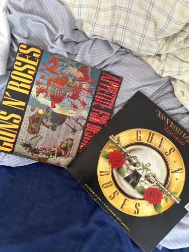 Discos de vinil(lps) guns and roses