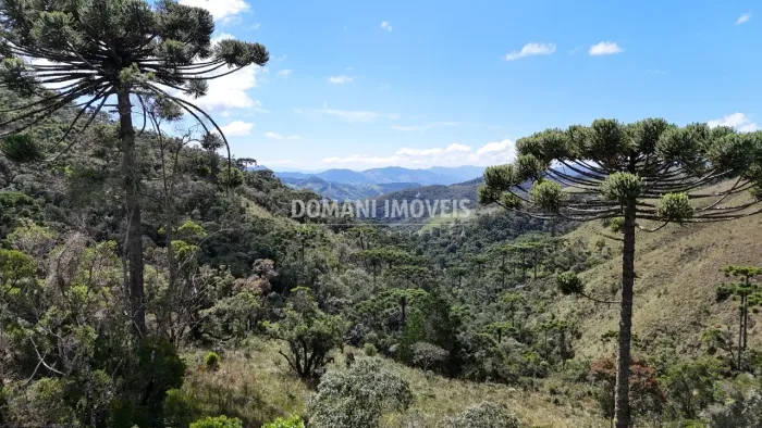 Ampla Área com Cachoeira Privativa na Região de Descansópolis - Campos do Jordão/SP